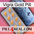 Vigra Gold Pill 44